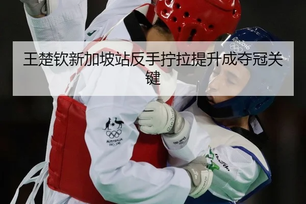 wang-chu-qin-xin-jia-po-zhan-fan-shou-ning-la-ti-sheng-cheng-duo-guan-guan-jian-2-791.jpg