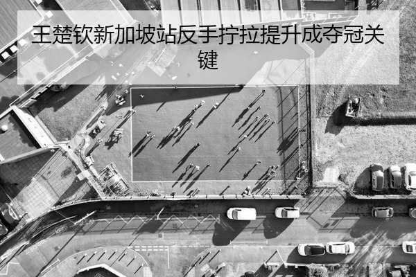 王楚钦新加坡站反手拧拉提升成夺冠关键